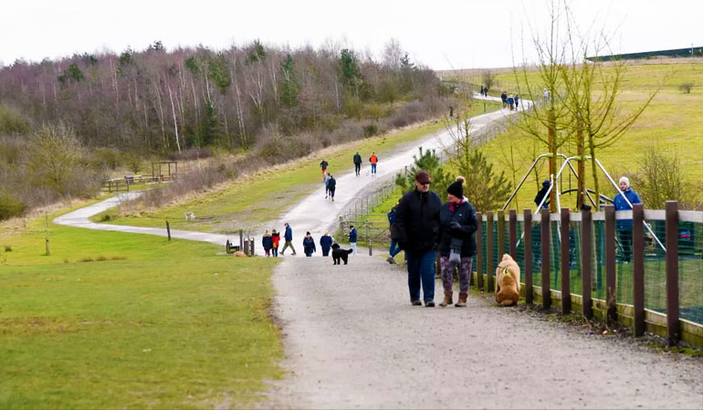 Gedling Country Park